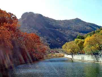 新澳门期期准精准，北京到上海物流